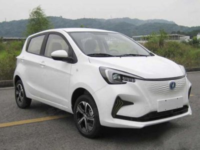 Changan estar 2024